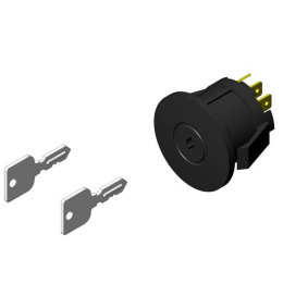 COMMUTATEUR D'IGNITION AVEC CLEF 110310